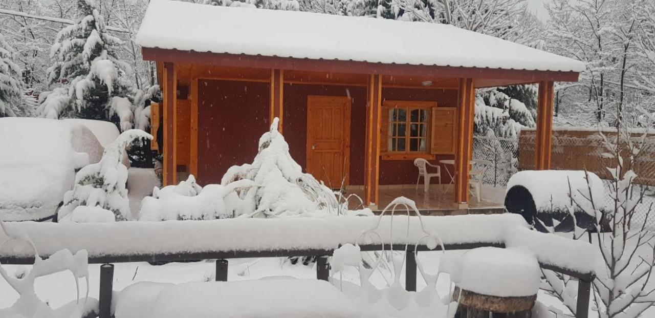 Villa Cerro Indio Potrerillos Esterno foto